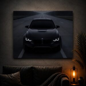 BMW-Shadow-Drive