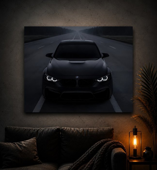 BMW-Shadow-Drive