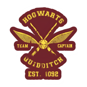 Hogwarts Quidditch Team
