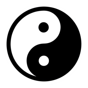 Ninja V1