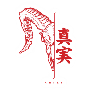 Aries V2