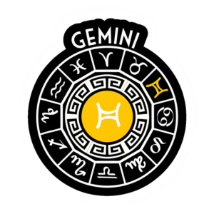 Gemini V5